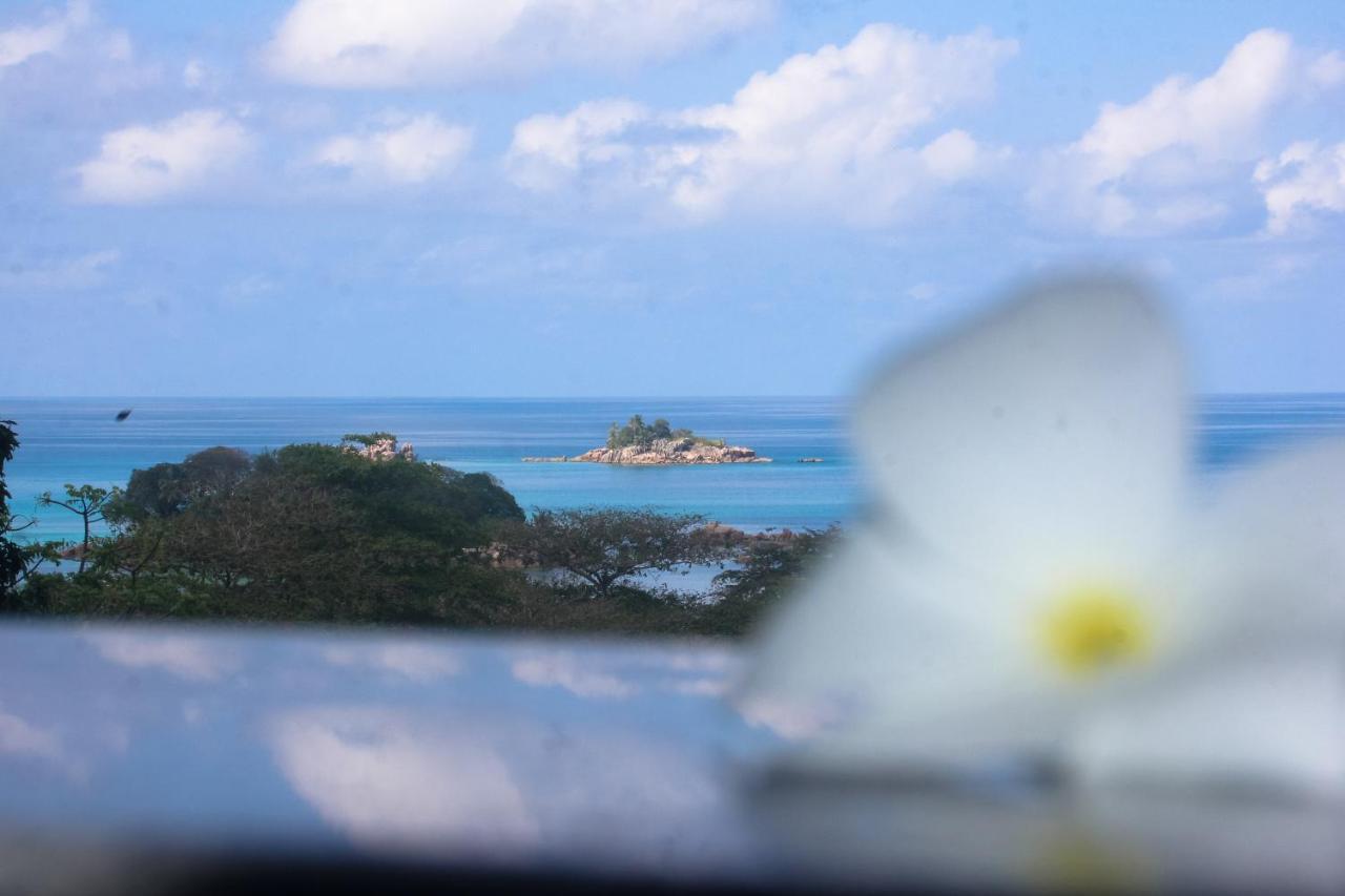 Exotic Guest House アンス・ヴォルベール エクステリア 写真
