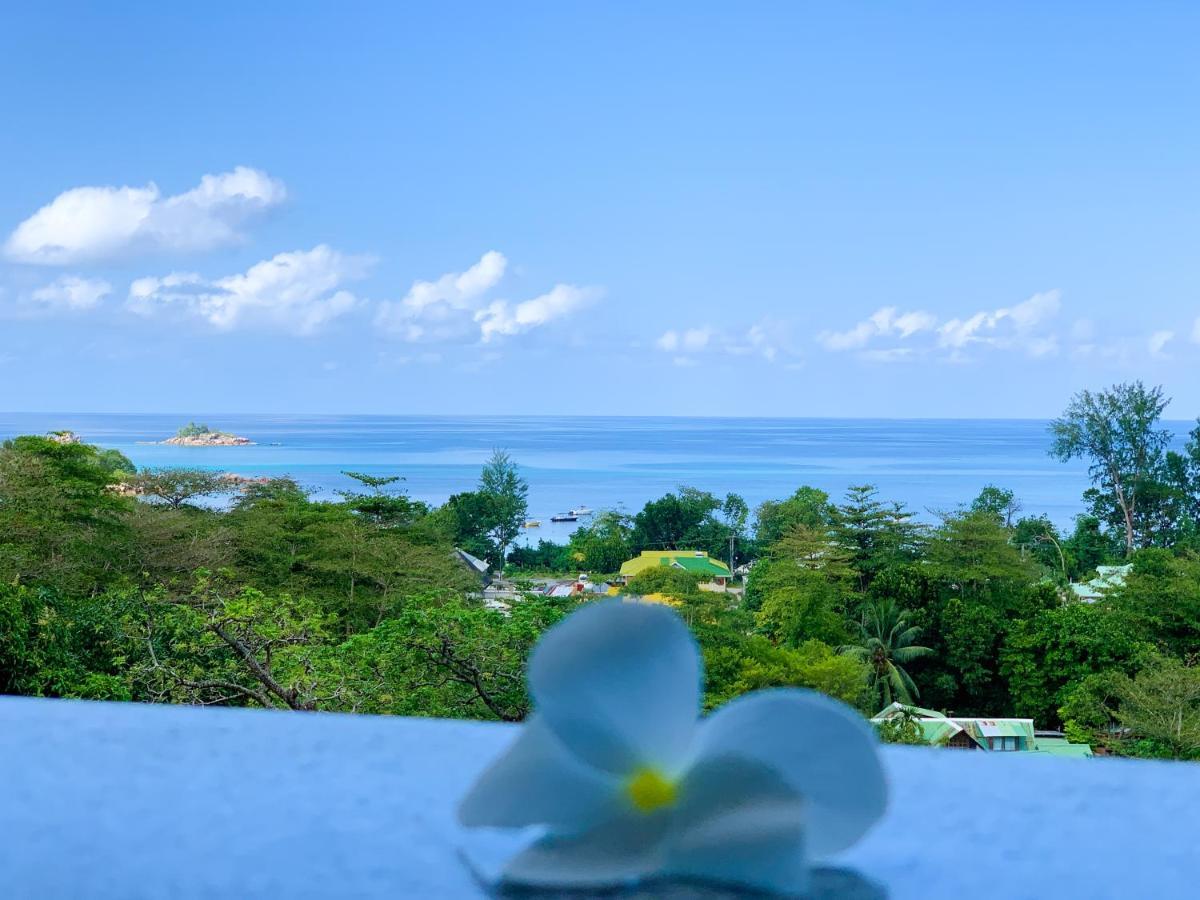 Exotic Guest House アンス・ヴォルベール エクステリア 写真